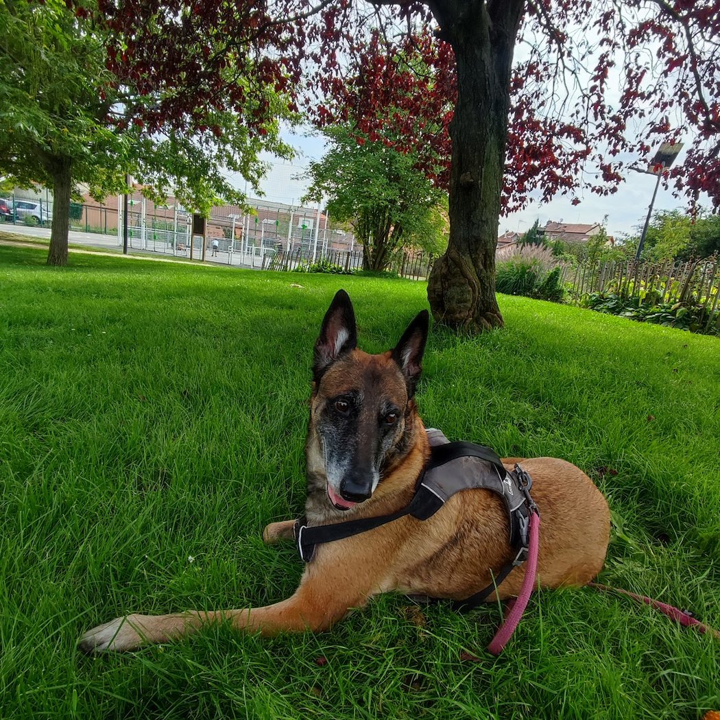 Park of Nonoo 3